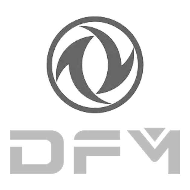 DFM